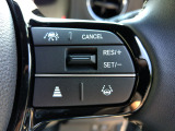 ハンドル右側にはクルーズコントロールのスイッチが装備され、運転中の操作も安心して行えます。