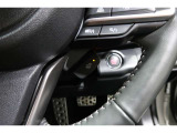 ☆ハンドルヒーター☆寒い季節にハンドルが冷たくなるのを防ぎ、運転を快適にします。