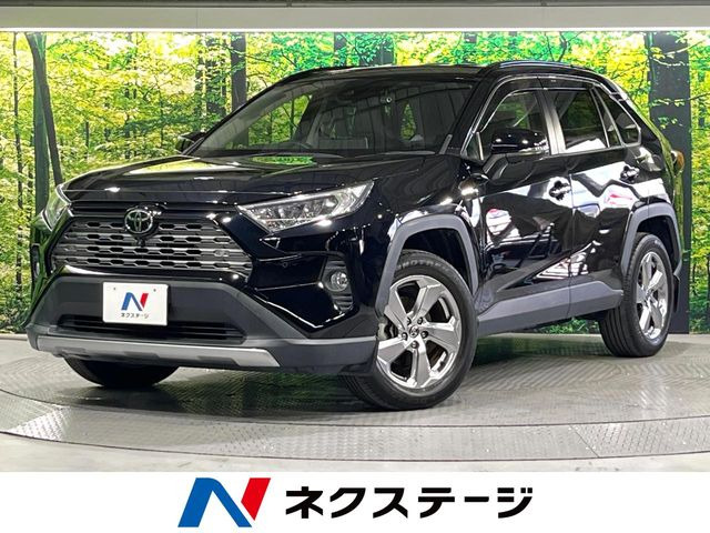 RAV4 2.0 G 4WD 
