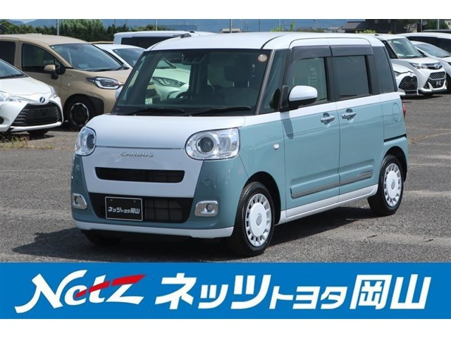 ムーヴキャンバス  ストライプス G