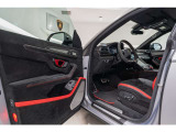 Red painted interior door handles