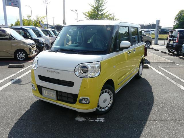 ムーヴキャンバス  ストライプス G