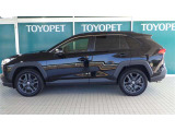 RAV4 2.0 アドベンチャー 4WD 