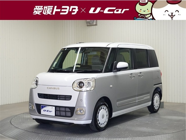 ムーヴキャンバス  ストライプス G