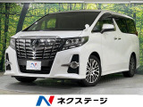 サンルーフ 両側電動ドア 11型ナビ 後席モニター バックカメラ ETC