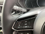 ステアリング左にはオーディオスイッチをまとめて配置しており、運転中のオーディオ操作による危険を減らしてくれます。