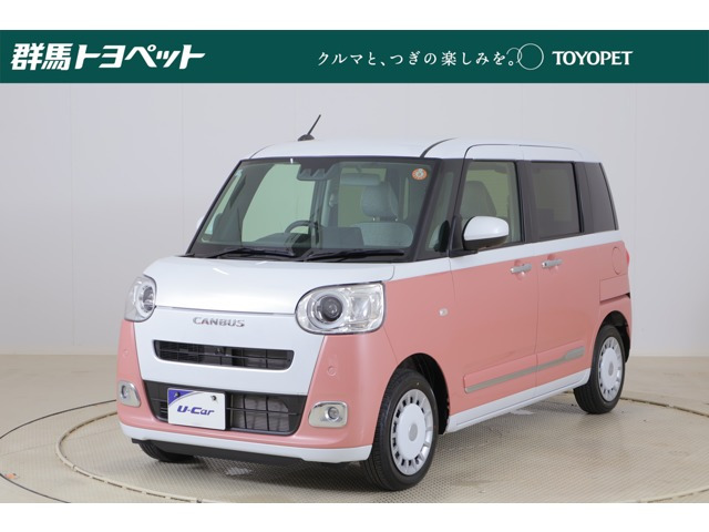 ムーヴキャンバス  ストライプス G