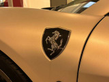 スクーデリア・フェンダーシールドエンブレムカーボン
