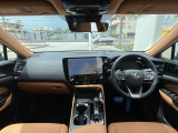 NX 250
