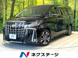 両側電動ドア 純正10インチナビ 後席モニター バックカメラ