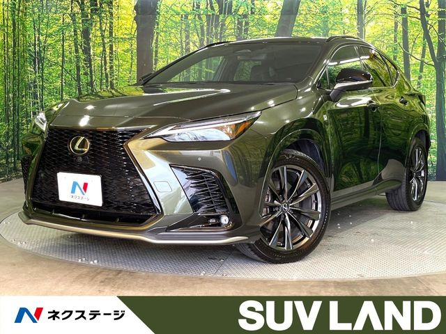 NX 350h Fスポーツ 