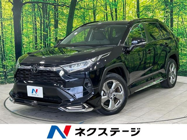 RAV4 2.0 X 