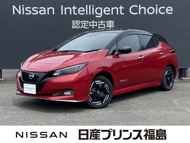 リーフ e+ X
