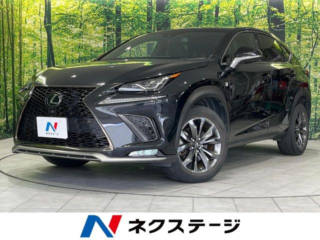 NX 300 Fスポーツ 