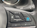 プロパイロット付いています。高速道路の運転の際の疲労軽減になります。