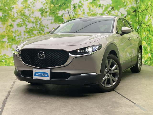 CX-30 2.0 20S プロアクティブ ツーリングセレクション
