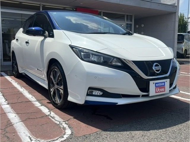 リーフ G 