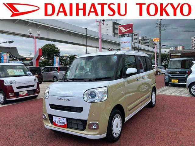 ムーヴキャンバス  ストライプス G