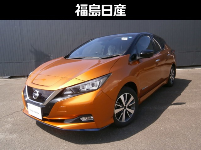 リーフ e+ X