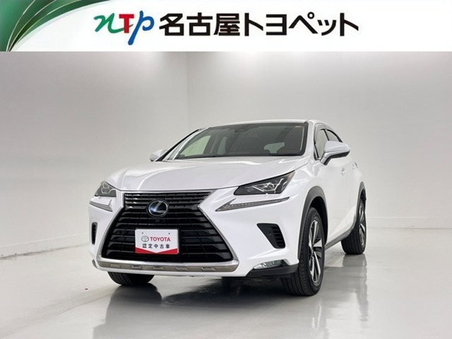 NX 300 Iパッケージ 