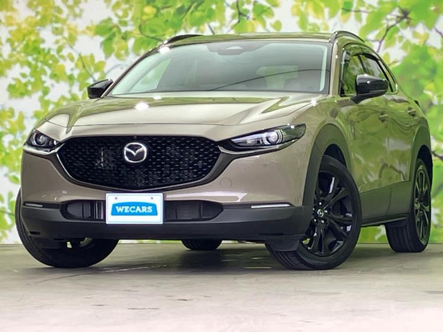 CX-30 2.0 20S レトロスポーツエディション 