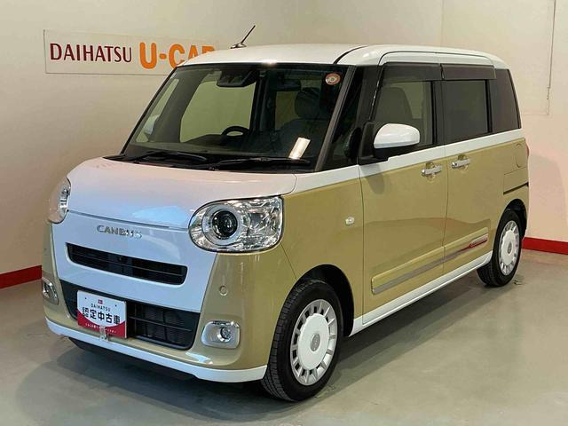 ムーヴキャンバス  ストライプス G