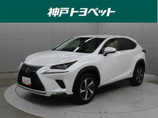 NX 300h バージョンL 4WD
