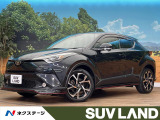 純正エアロ 寒冷地仕様 純正9型ナビ ブラインドスポットモニター ETC