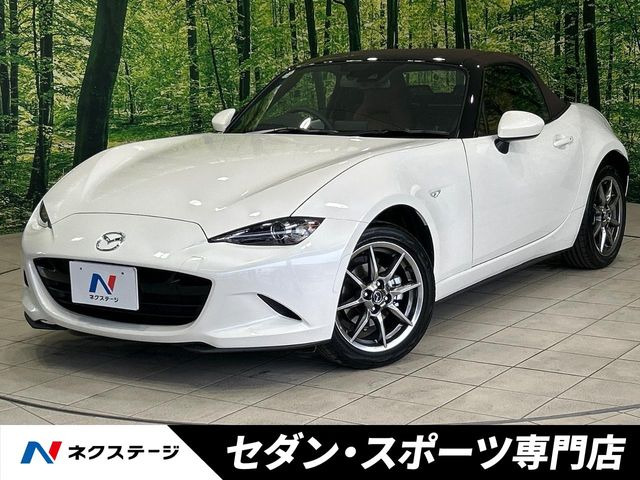 ロードスター 1.5 ブラウン トップ