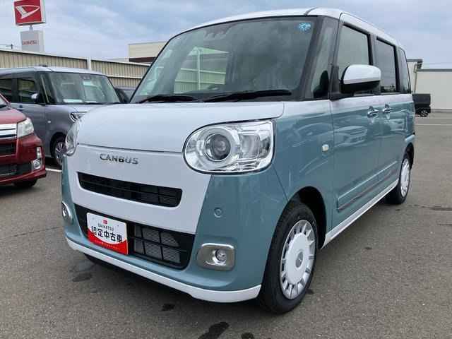 ムーヴキャンバス  ストライプス G
