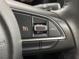 【クルーズコントロール】高速道路もラクラク走行。アクセルを離しても一定速度で走行ができ、長距離運転時の負担を軽減!加速・減速も簡単なスイッチ操作で調整できます。