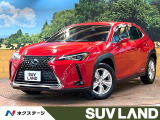 レーダークルーズ 黒革 電動リアゲート ブラインドスポットモニター