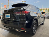 RX 300 Fスポーツ 