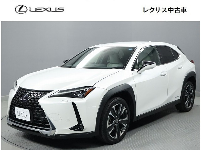 UX 250h バージョンC 