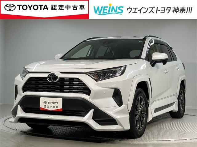 RAV4 2.0 X 