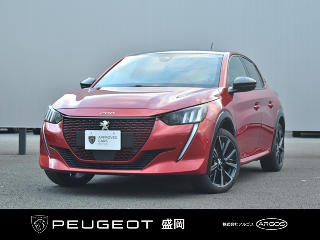 e-208 GT 