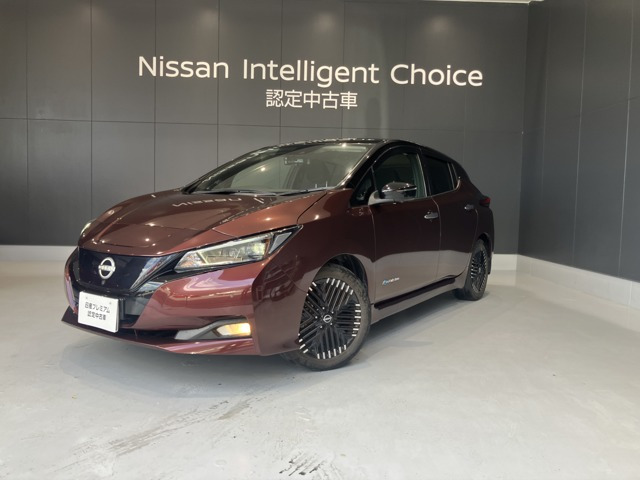リーフ G 