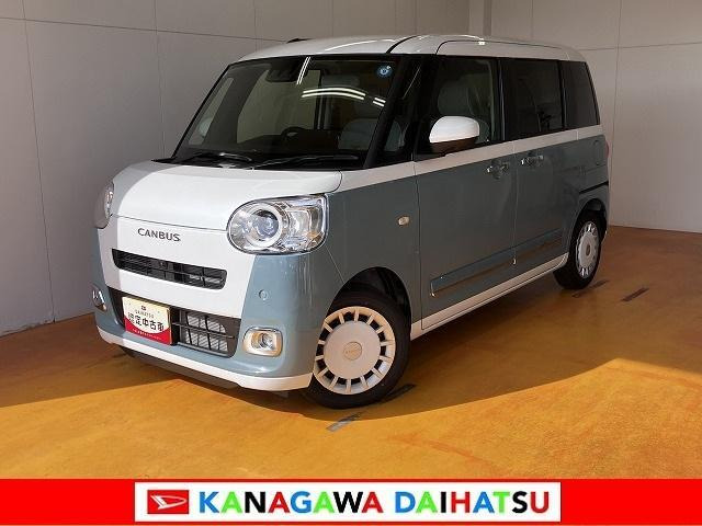 ムーヴキャンバス  ストライプス G