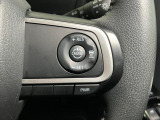 全車速追従機能付ACC(アダプティブクルーズコントロール)付