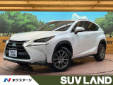 4WD メーカーナビ バックカメラ AC100V電源 プリクラッシュ