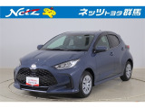 弊社近隣の1都9県(群馬・栃木・茨城・埼玉・東京・神奈川・千葉・新潟・長野・山梨)のお客様への販売に限定させて頂いております。また、ご来店いただけるお客様に限らせて頂きます。