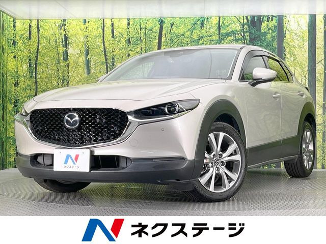 CX-30 2.0 20S プロアクティブ