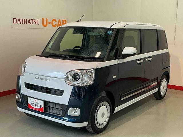 ムーヴキャンバス  ストライプス G