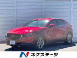 電動リアゲート レザーシート パワーシート ドラレコ コーナーセンサー