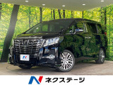 12型後席モニター 10型BIG-Xナビ バックカメラ 両側電動ドア