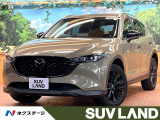 禁煙車 10型ナビ 全周囲カメラ レーダークルーズ メモリーシート