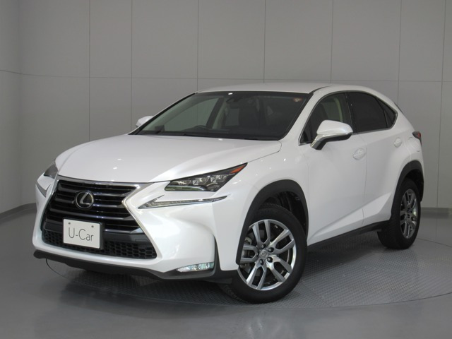 NX 200t Iパッケージ