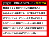 アルファード 2.5 S Cパッケージ 10インチ大ナビ モデリスタエアロ 禁煙