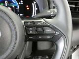 クルーズコントロールです。速度をセットするこでアクセル操作が不要の魅力的な装備です。高速道路での運転では特に重宝します♪