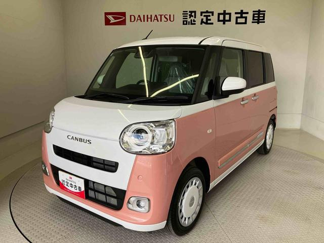 ムーヴキャンバス  ストライプス G